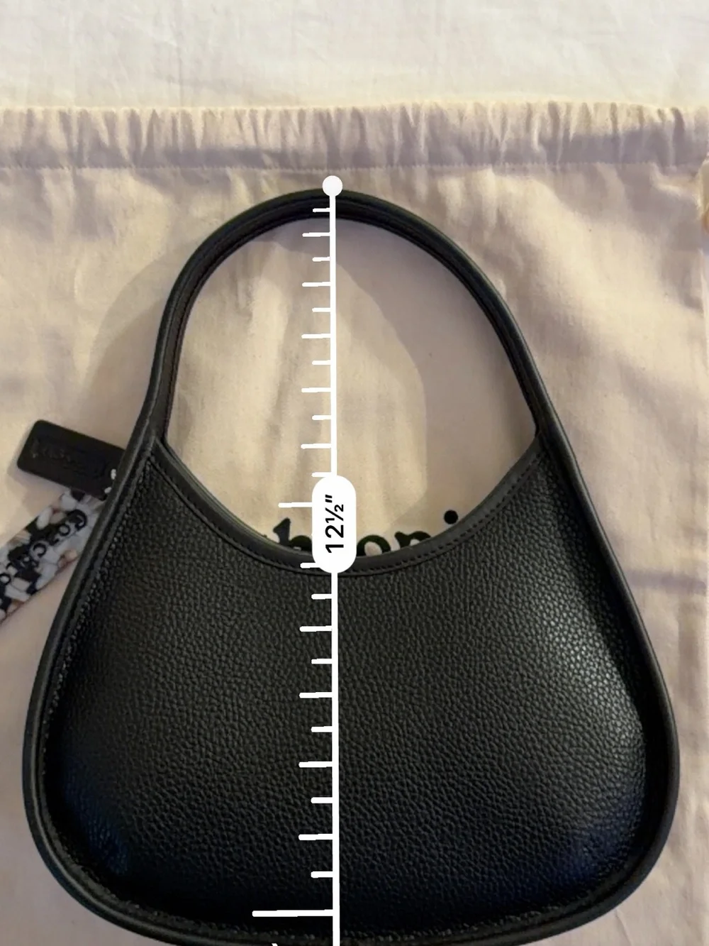 Coach curved crescent